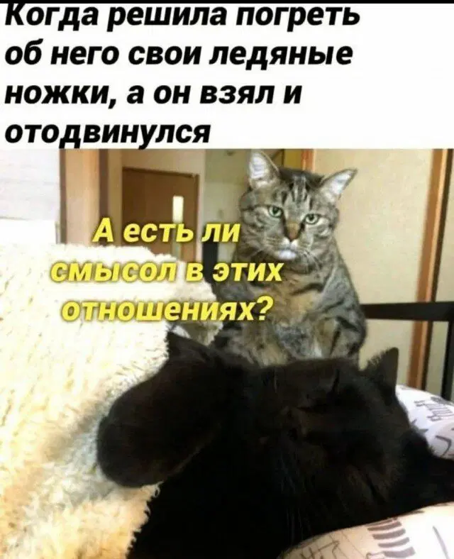 Среда а дичка где?