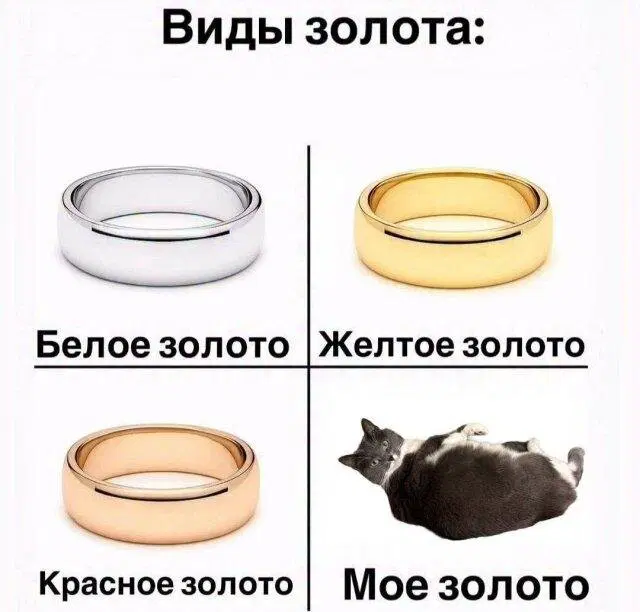Среда а дичка где?