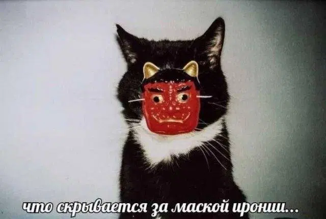 Среда а дичка где?