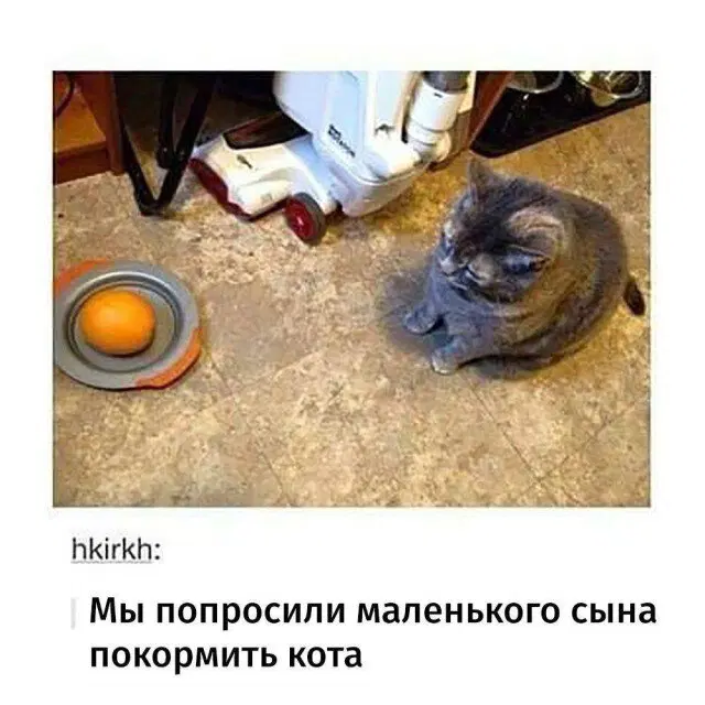 Среда а дичка где?