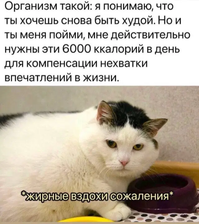 Среда а дичка где?