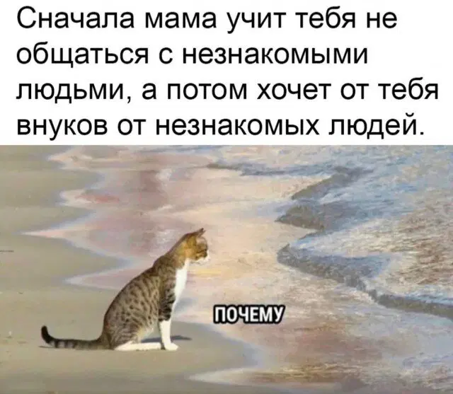 Среда а дичка где?