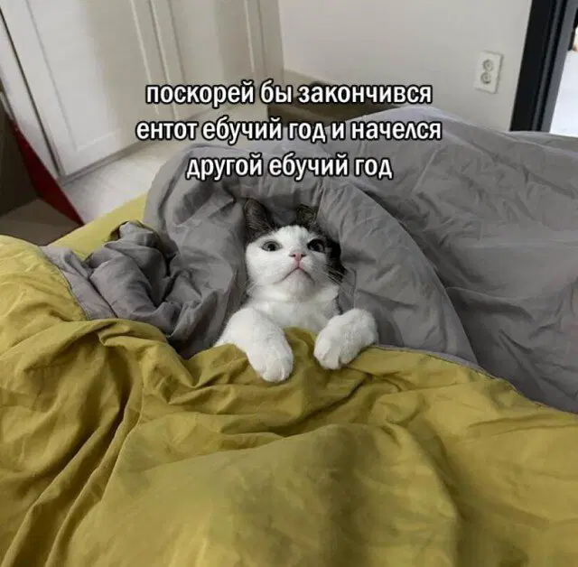 Среда а дичка где?