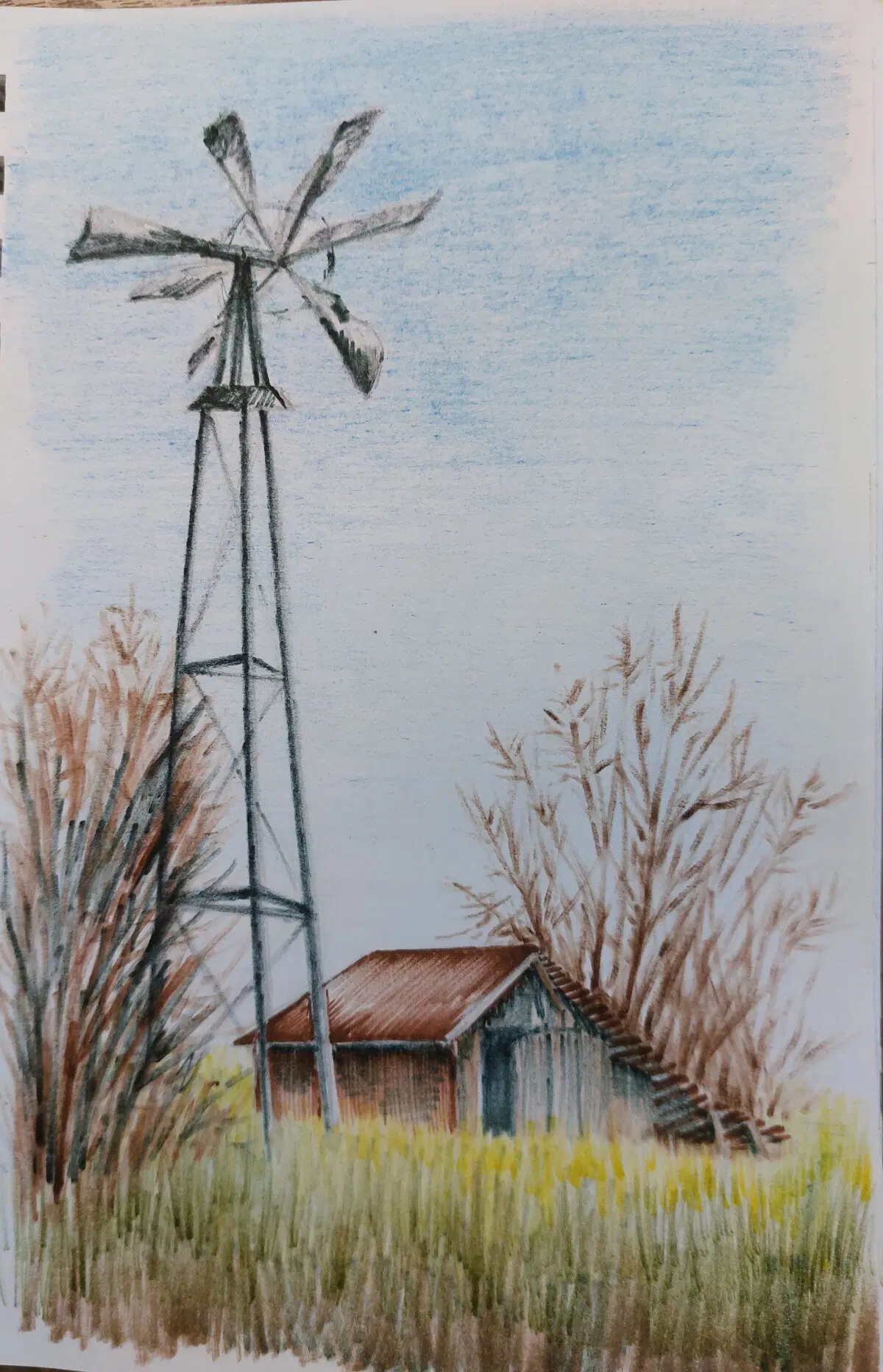 Ветряк и сарай