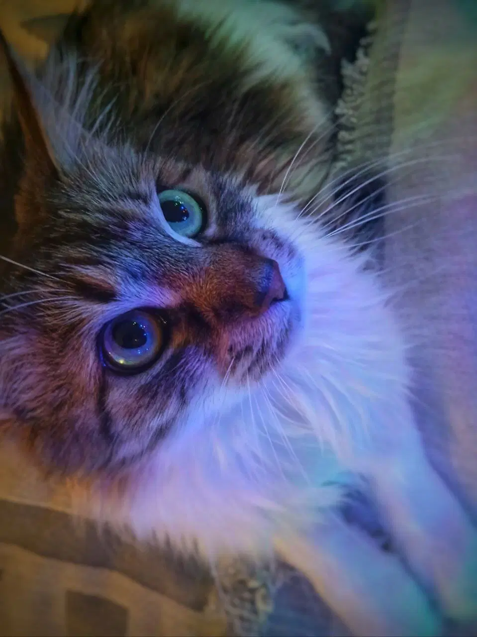 Только посмотрите как у неё огонёчки в глазах искрятся!