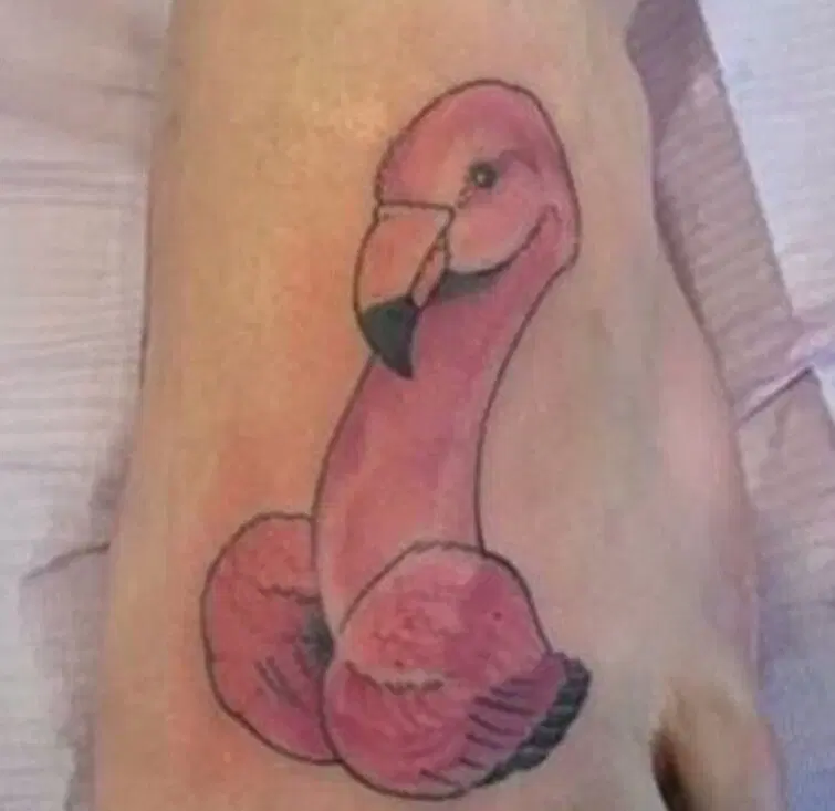 Бедный фламинго!