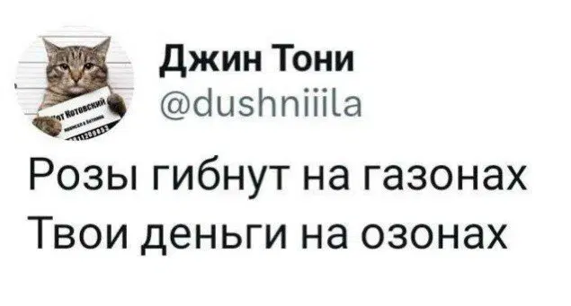 Дичи дичи ачи ачи