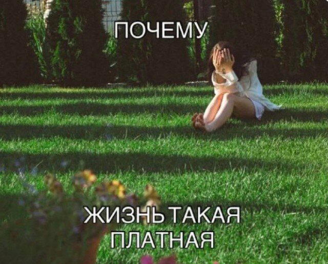 Дичи дичи ачи ачи