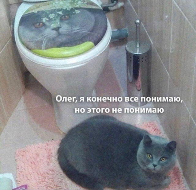 Дички дички дички