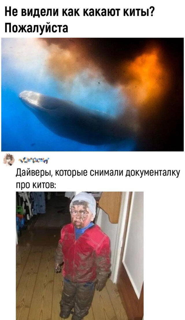 Дички дички дички