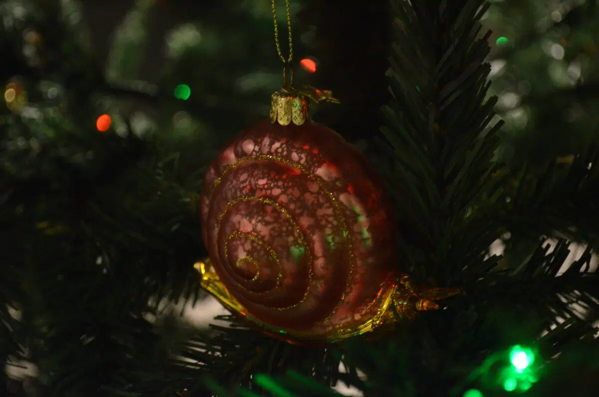 Вы уже украсили ёлочку? Показывайте! Мы уже как 2 недели это сделали х))