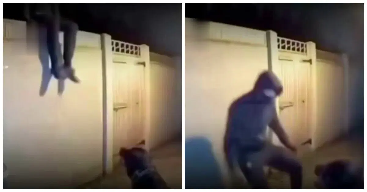 Достойная встреча незваного гостя