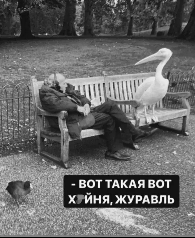 Дичь воскресная не пресная