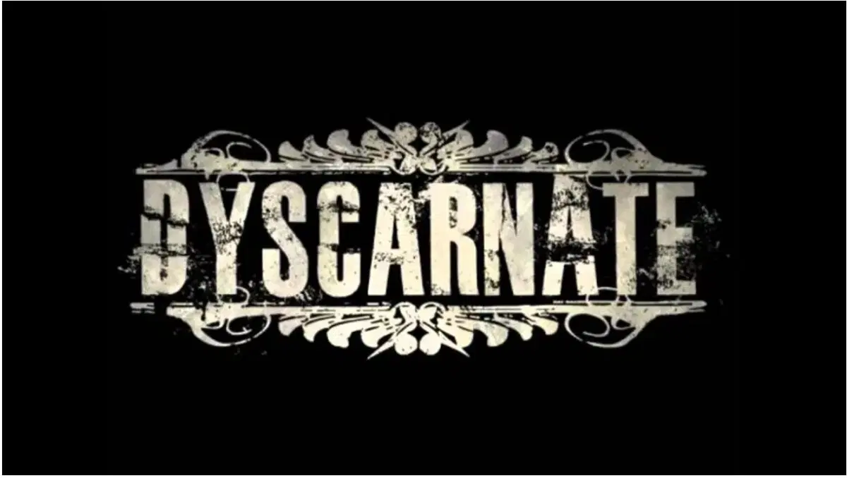 Ивент вомбата. Слово недели - Носок