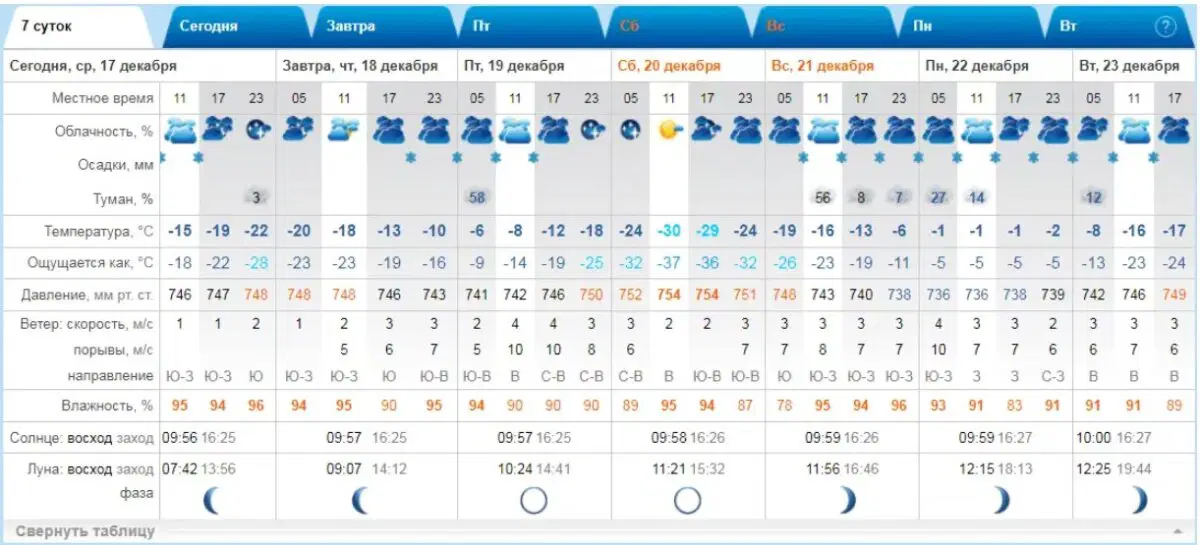 Ивент вомбата. Слово недели - Носок