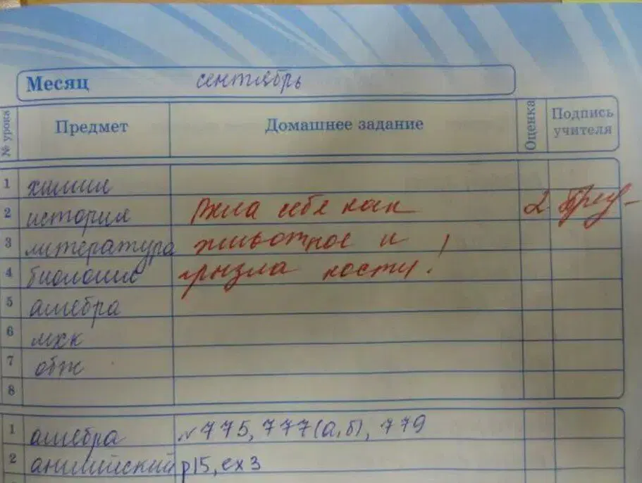 Ивент вомбата. Слово недели - Носок