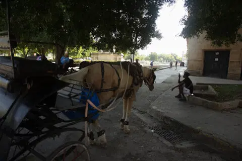 The Rolling Stones — Jumpin' Jack Flash / Куба'2025 (2.1)