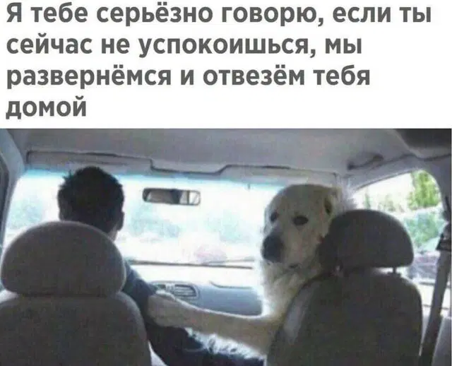 С чего начинается дичка