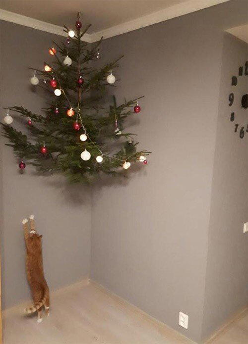 С чего начинается дичка