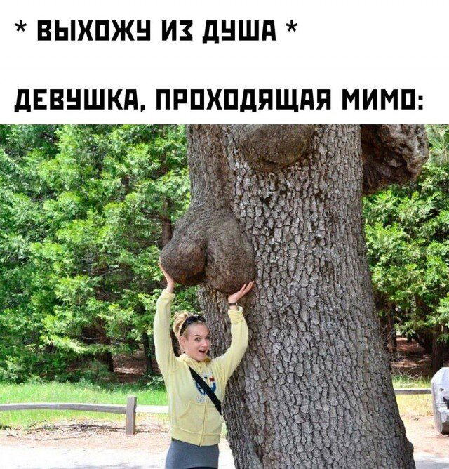 С чего начинается дичка