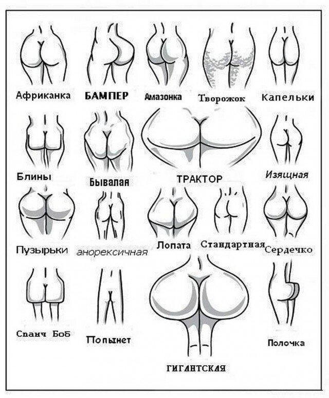 С чего начинается дичка