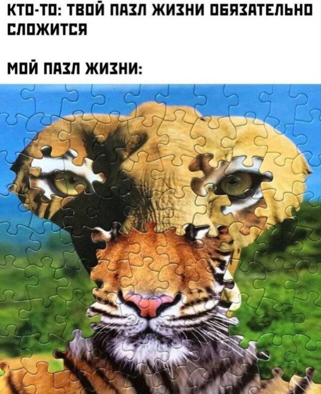 С чего начинается дичка