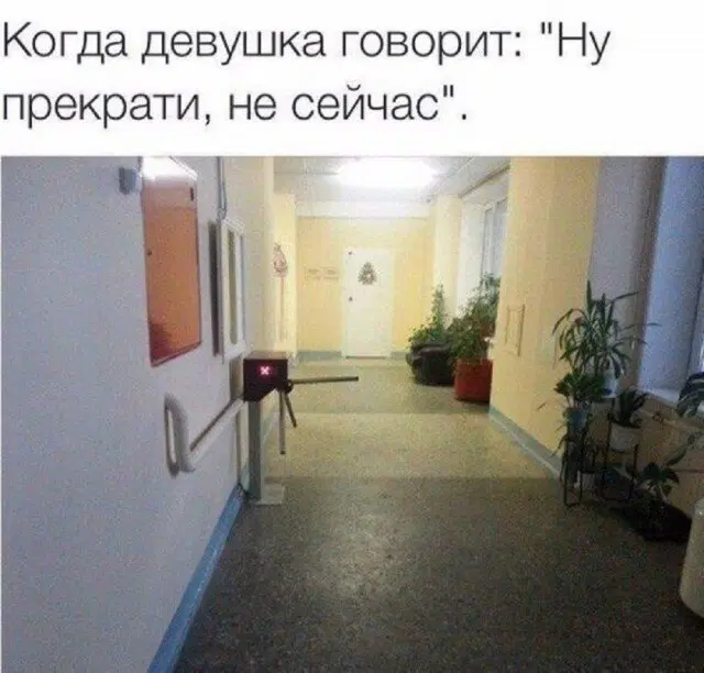 Дичка начинается с понедельника