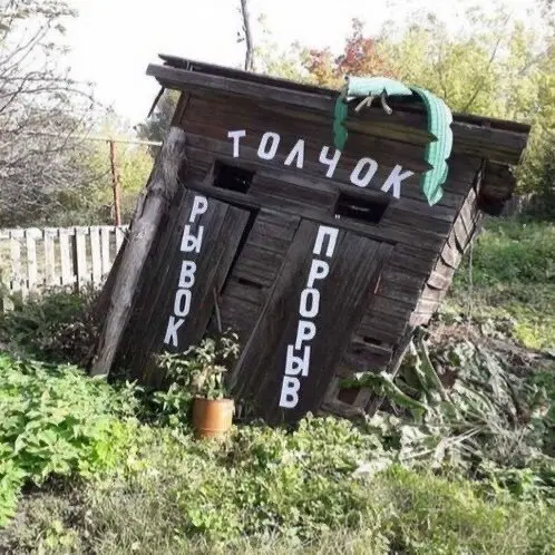 Дичка начинается с понедельника