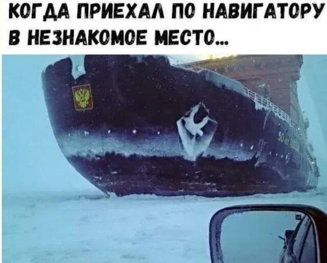 Дичка начинается с понедельника