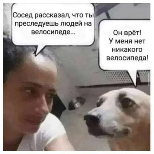 Дичка начинается с понедельника
