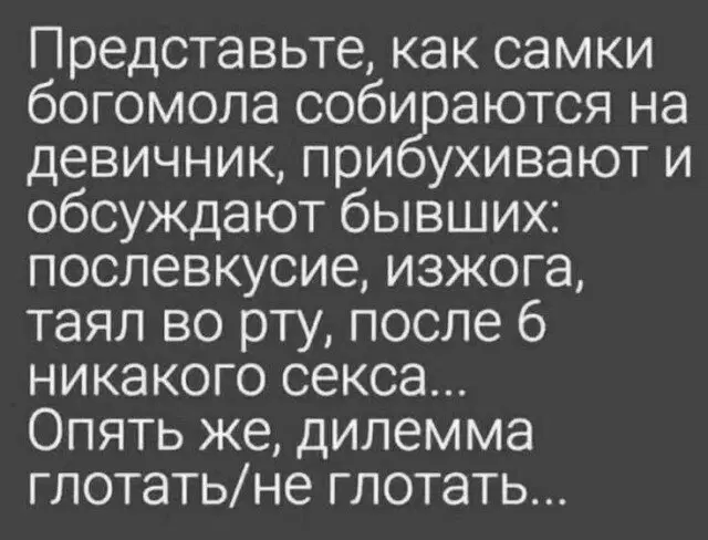 Дичка начинается с понедельника