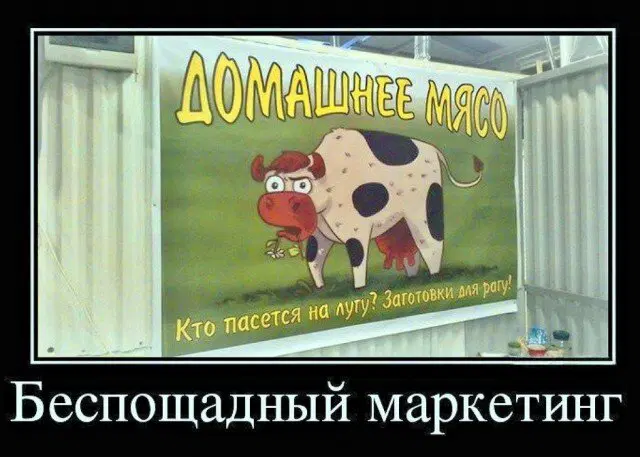 Дичка начинается с понедельника