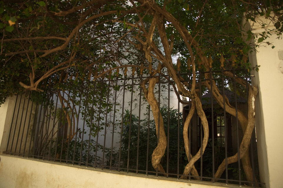 The Rolling Stones — Jumpin' Jack Flash / Куба'2025 (2.2)