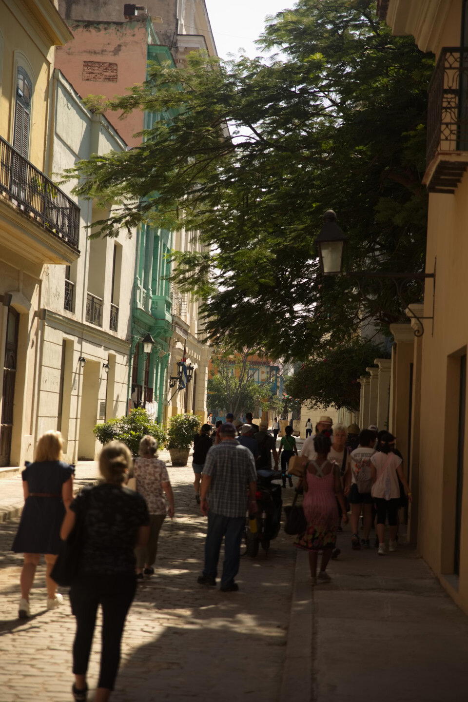 The Rolling Stones — Jumpin' Jack Flash / Куба'2025 (2.2)