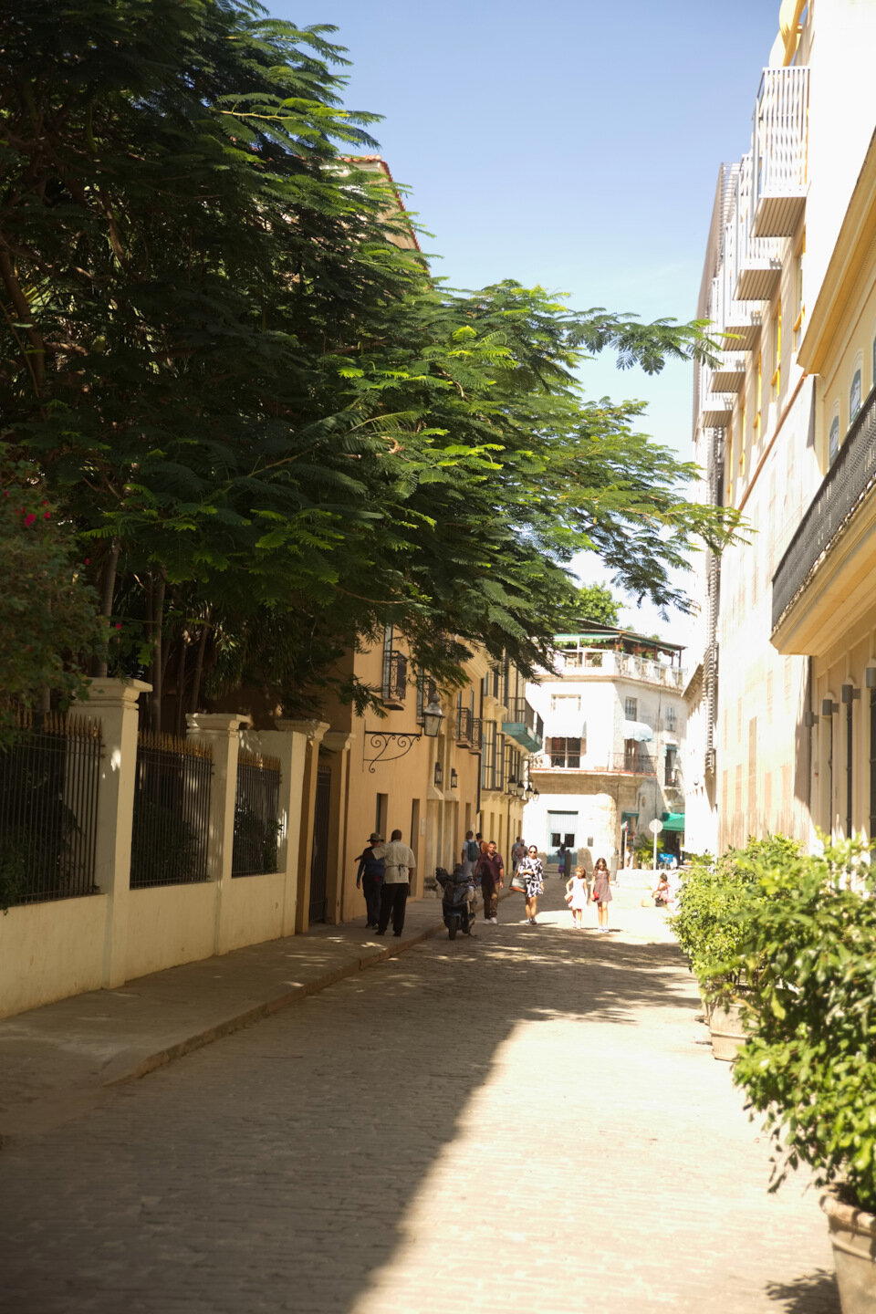 The Rolling Stones — Jumpin' Jack Flash / Куба'2025 (2.2)