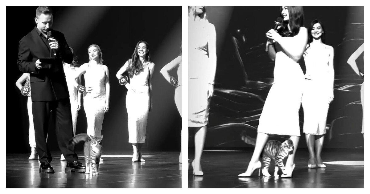 И кто здесь самая красивая?