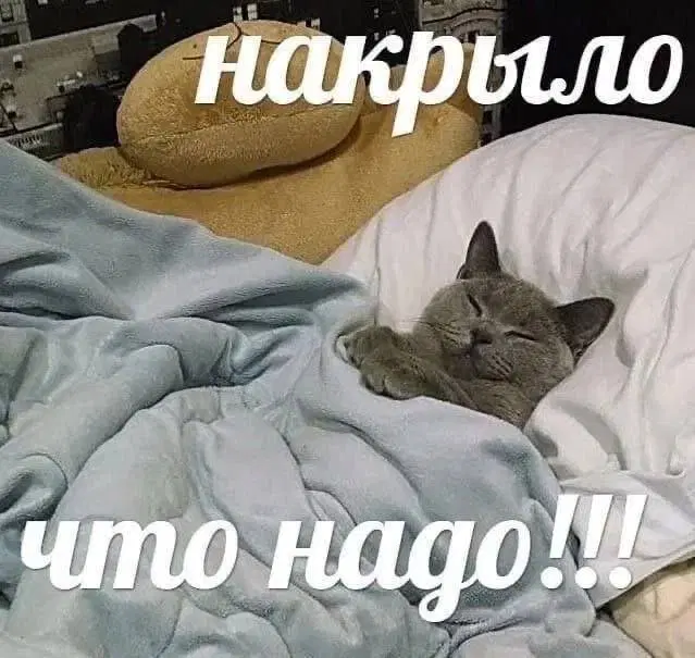 Среда близко... Дичка не кисло