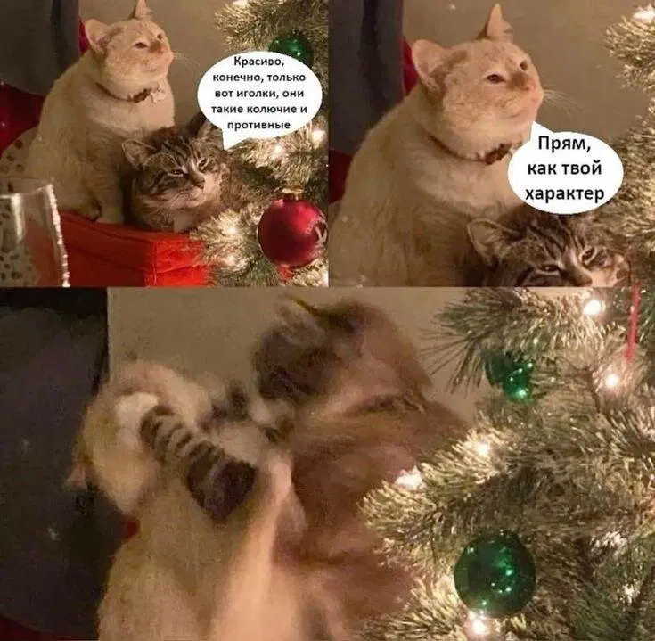 Среда близко... Дичка не кисло