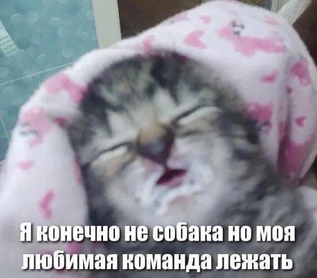 Среда близко... Дичка не кисло