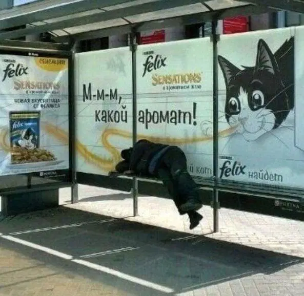 Среда близко... Дичка не кисло