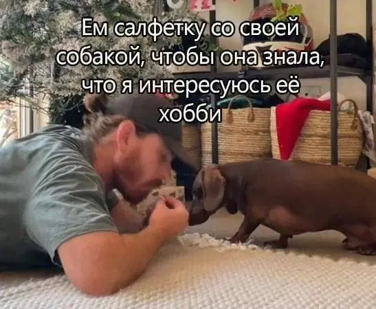 Среда близко... Дичка не кисло