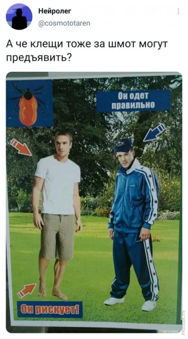 Среда близко... Дичка не кисло