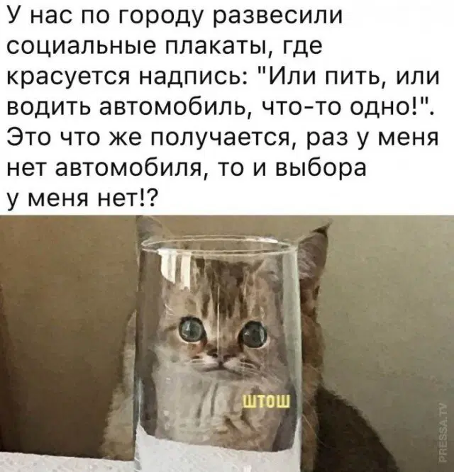 Среда близко... Дичка не кисло