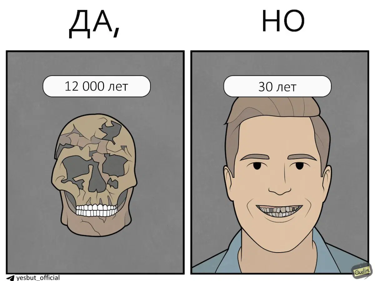 Зубы