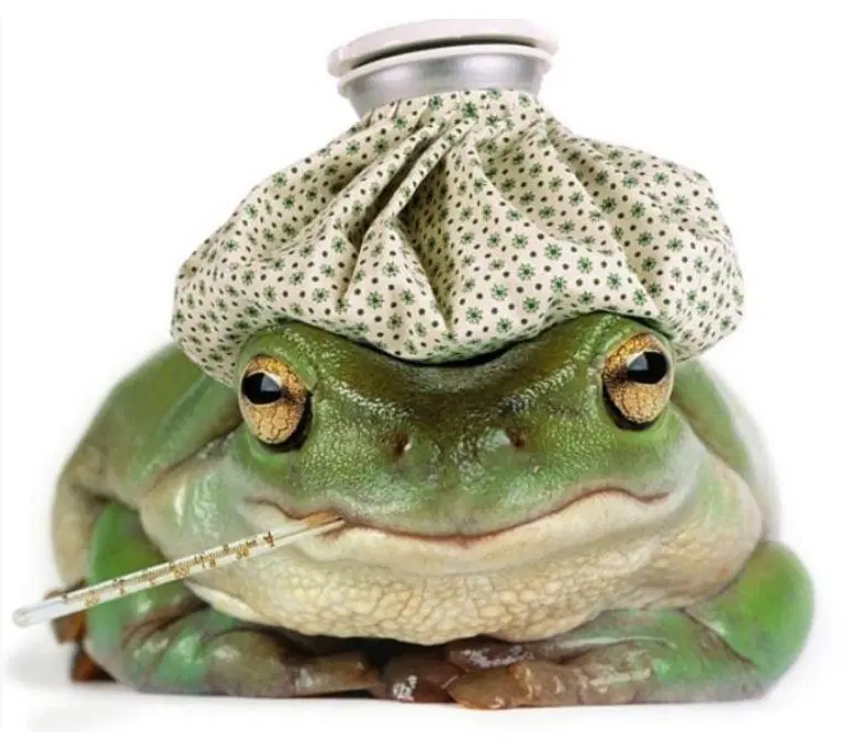 Не болейте мои чьюваки