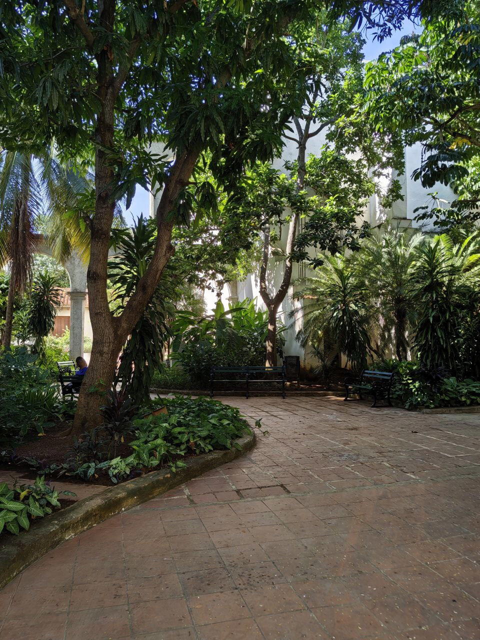 The Rolling Stones — Jumpin' Jack Flash / Куба'2025 (2.3)