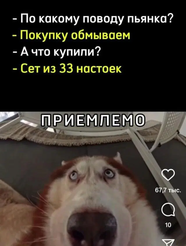 Дичка среда помоги мне а?