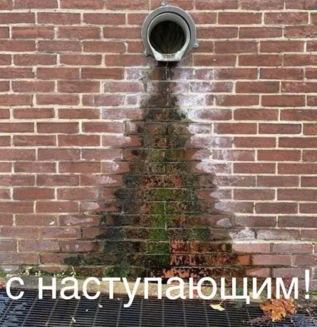 Дичка среда помоги мне а?