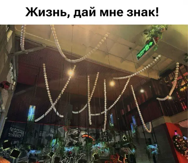 Дичка среда помоги мне а?