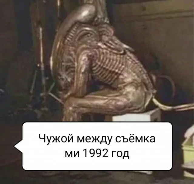 Дичка среда помоги мне а?